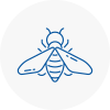 Bee Nest Removal Oxfordshire