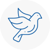Bird Prevention Oxfordshire