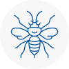Oxfordshire Hornet Nest Removals
