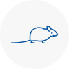 Mice Exterminators In Oxfordshire