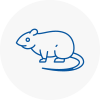 Rat Control Oxfordshire