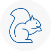 Oxfordshire Rodent Removals