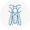 Oxfordshire Wasp Nest Removal